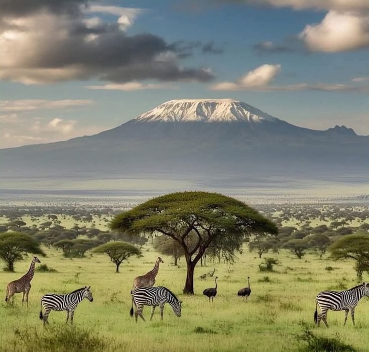 Amboseli Kilimanjaro